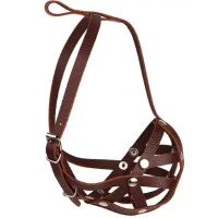 Before Намордник - сітка, бульдог