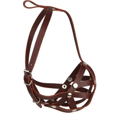 Before Намордник - сітка, бульдог