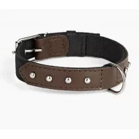 Нашийник Hard 25мм, 370-440мм з нейлону та шкіри