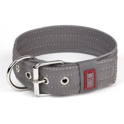 Befor Нашийник нейлон із світловідбивним кантом посилений подвійний 48мм 550-640мм