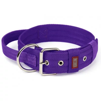 Befor Нашийник нейлон із світловідбивним кантом посилений подвійний 40мм 460-550мм