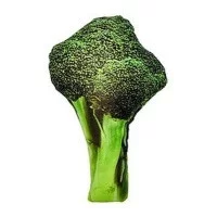 Fox Іграшка з оксфорда для собак  брокколі, 20 * 12см