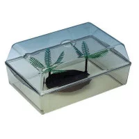 Marchioro Ponza Террариум для рептилий