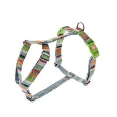 FERRIBIELLA Шлея 