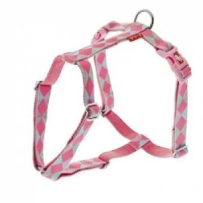 FERRIBIELLA Шлея 