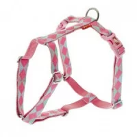 FERRIBIELLA Шлея 