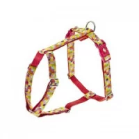 FERRIBIELLA Шлея 