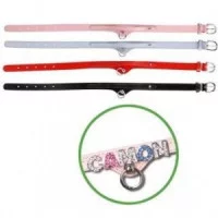 Camon Name шкіряний Нашийник, ширина 12 мм, довжина 300 мм