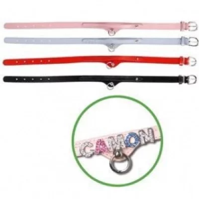 Camon Name шкіряний Нашийник, ширина 12 мм, довжина 300 мм