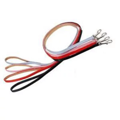 Camon Name Повідець для собак, 12х1200 мм, шкіряний