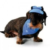 Camon Кепка бандана, блакитний