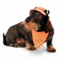 Camon Кепка бандана, помаранчевий