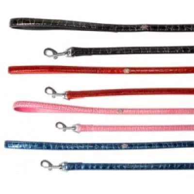 Camon Пітон Повідець з прикрасою, 15 мм*120см