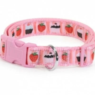 Camon Pastries Нашийник з застібкою