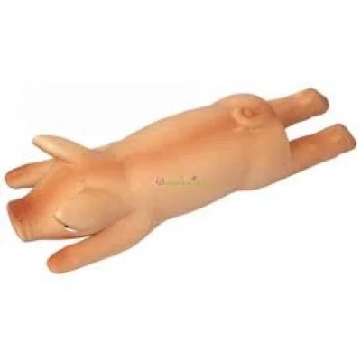 Іграшка для соб. CROCI Свинка, латекс, пищалка, 25см