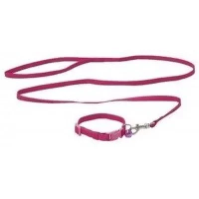 Набор ошейник+поводок MINI, 2 цвета, нейлон, 16-24х0,8см / 0,8х120см