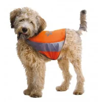 VISIBILITY Жилет  світловідбиваючий