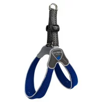 Coralpina Шлея CINQUETORRI блакитна