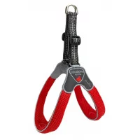 Coralpina Шлея CINQUETORRI червона