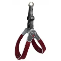 Coralpina Шлея CINQUETORRI червоне вино