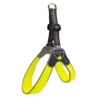 Coralpina Шлея CINQUETORRI жовтий неон