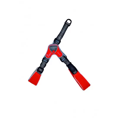 Coralpina Шлея FIAMES червоний