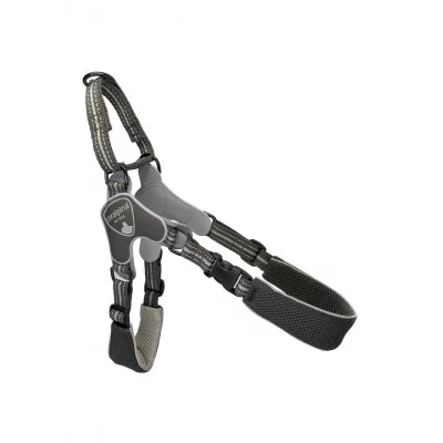 Coralpina Шлея FIAMES чорний