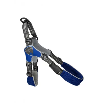 Coralpina Шлея FIAMES блакитний