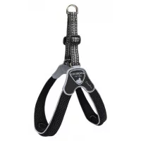 Coralpina Шлея CINQUETORRI чорна