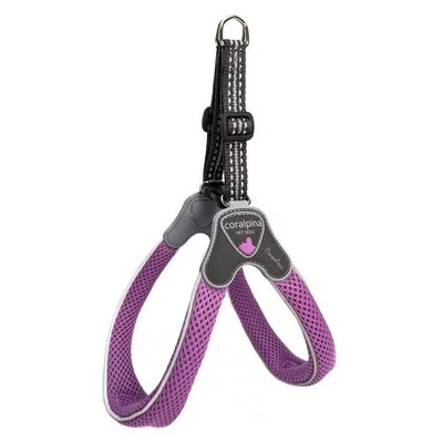 Coralpina Шлея CINQUETORRI бузкова