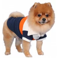 Doggy Dolly Светр флісовий блакитний
