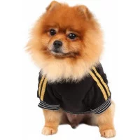 Doggy Dolly RoyalDiva Худі