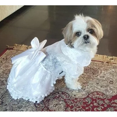 Doggy Dolly Сукня біла