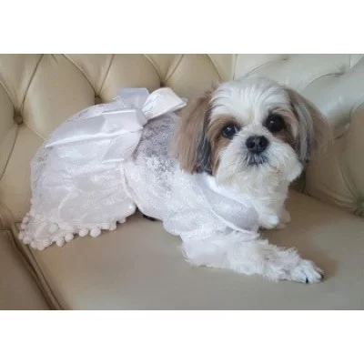 Doggy Dolly  Сукня 