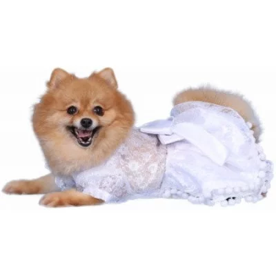 Doggy Dolly  Сукня 