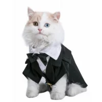 Doggy Dolly Смокінг чорний з білим