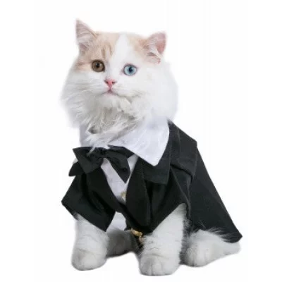 Doggy Dolly Смокінг чорний з білим