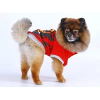 Doggy Dolly  Толстовка 