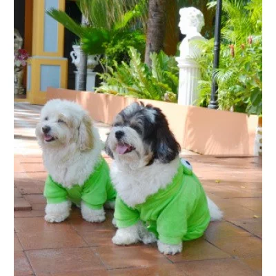 Doggy Dolly Комбінезон 