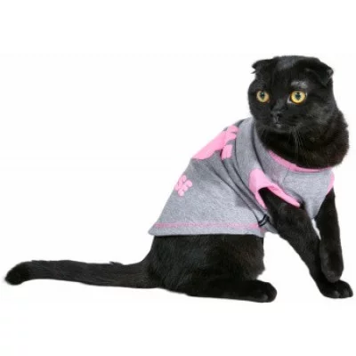 Doggy Dolly Майка 