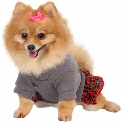 Doggy Dolly Худі сіре з червоною спідницею