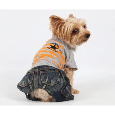 Doggy Dolly Комбінезон з смугастою футболкою Grey Orange Star