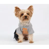 Doggy Dolly Комбінезон з смугастою футболкою Grey Orange Sta..