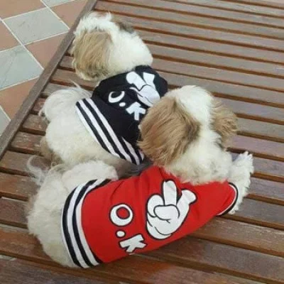 Doggy Dolly Майка 