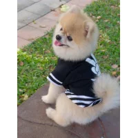 Doggy Dolly Майка 