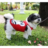 Doggy Dolly Майка 