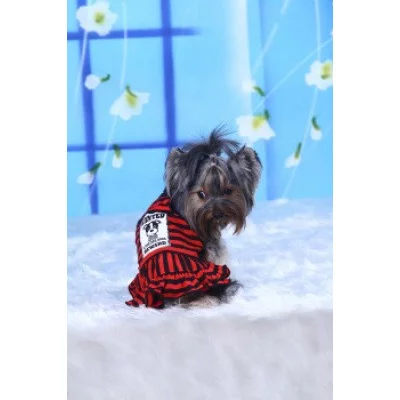 Doggy Dolly  Сукня 