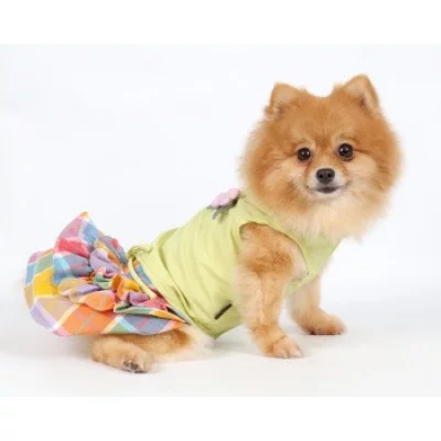 Doggy Dolly Сукня зелена