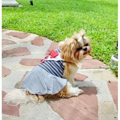 Doggy Dolly Сукня сіра