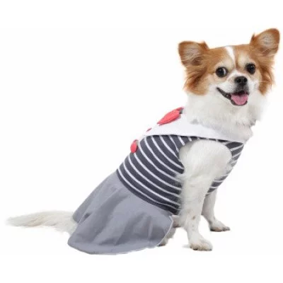 Doggy Dolly  Сукня сіра